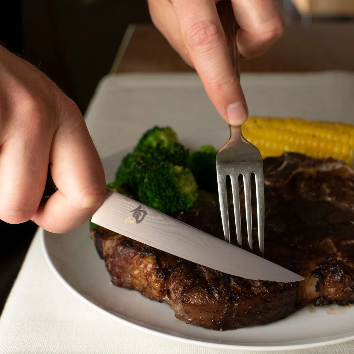 KAI Shun Classic Steak Knife 4.8" (DM0711) - Image 3